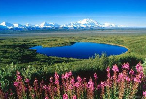 Alaska