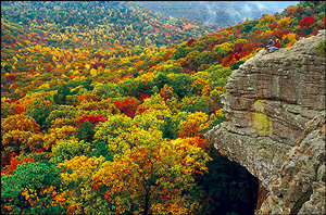 Arkansas in Fall