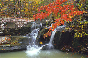Cassot River