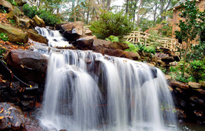 waterfall