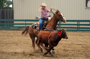 rodeo