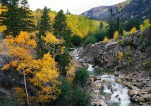 Colorado Stream