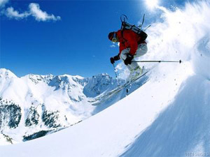 Skier