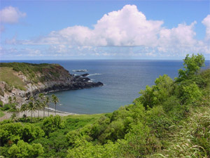 Peia
