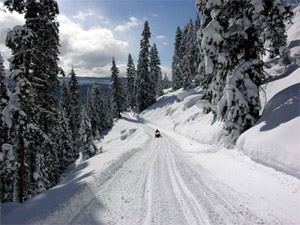 McCall - snowmobile