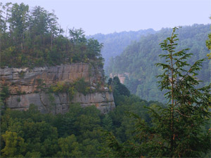 Daniel Boone Forest