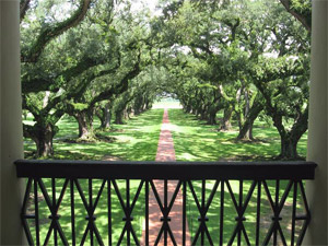 Oak Alley