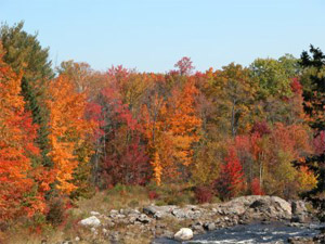 fall - Rangely 