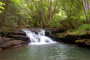Laurel Run