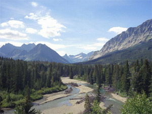 Belly River