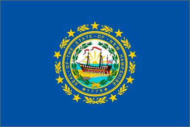 New Hampshire flag