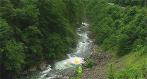 Ayder Valley