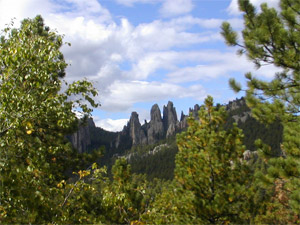 Custer State Park