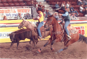 rodeo