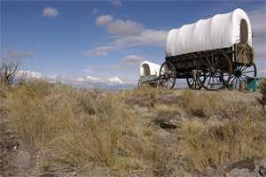 Oregon Trail 