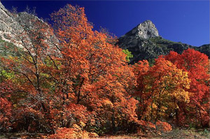 Guadalupe Mountains