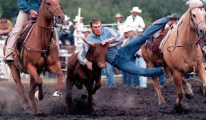 rodeo