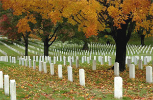 Arlington Cemetery